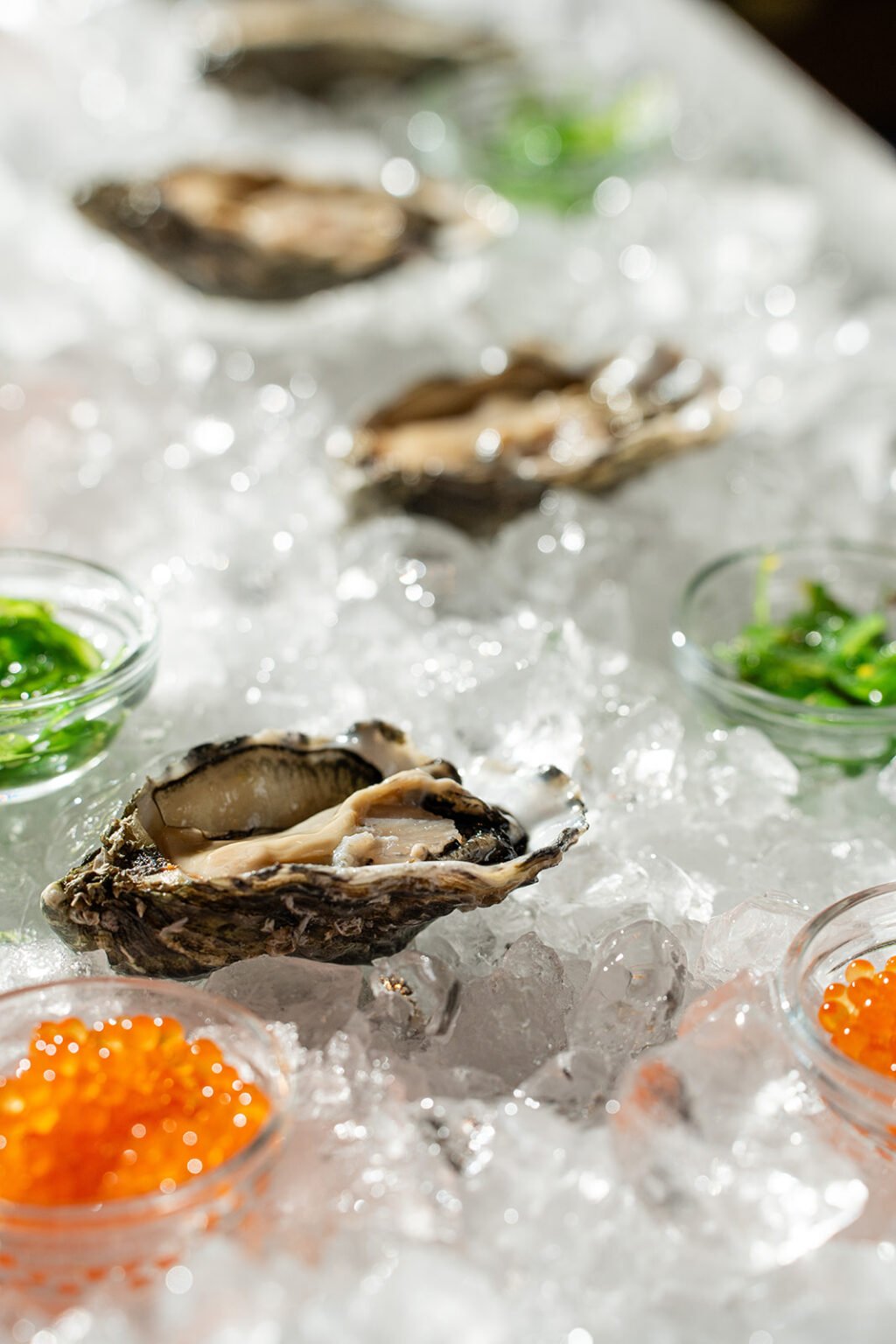 Fresh oysters on ice at Bella Tapas